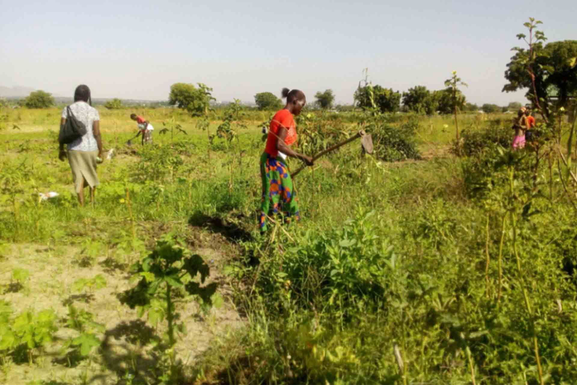 SUD SUDAN - PROGETTO AGREE AID 012590_06_7